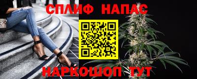 гидропоника Моздок