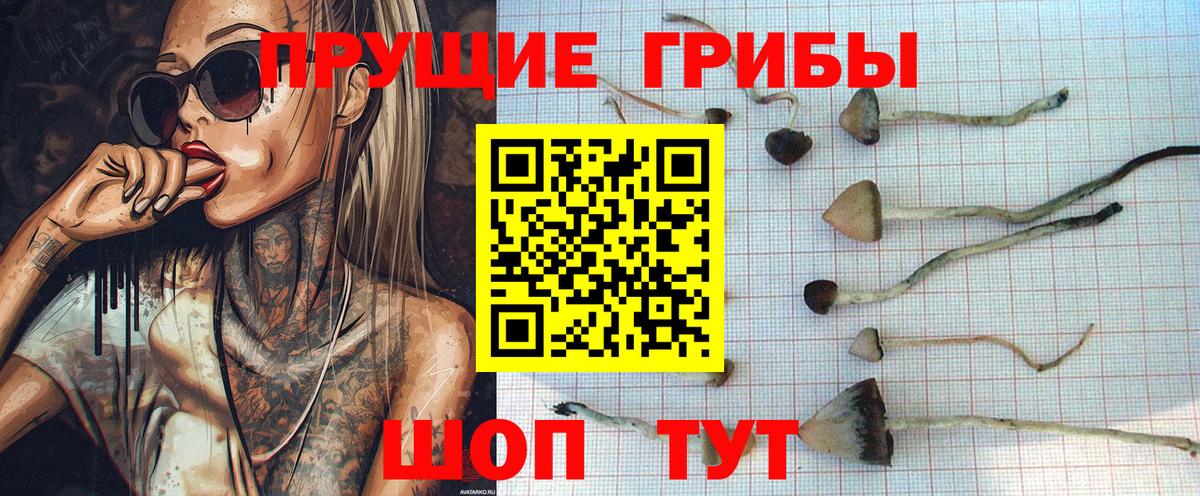 Гусь-Хрустальный  Псилоцибиновые грибы Psilocybe  Галлюциногенные грибы мицелий  где можно купить наркотик  Вход с VPN 